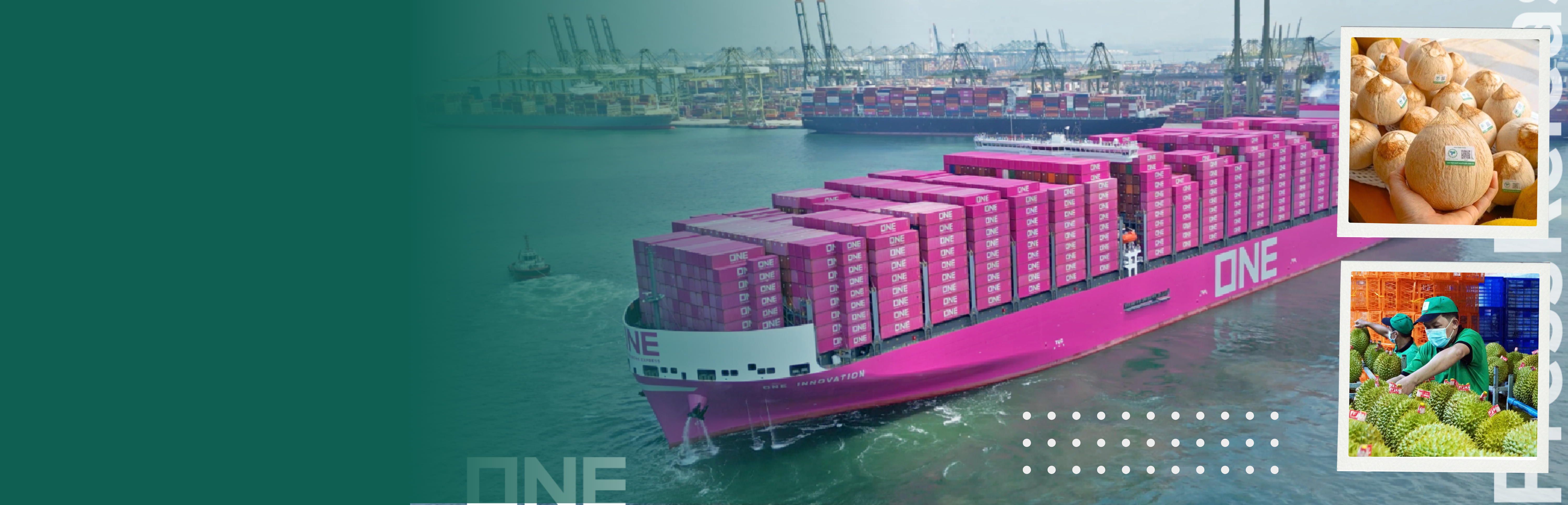 Vận chuyển hàng hóa đi Mỹ